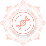 icon01